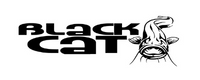 Logo BlackCat