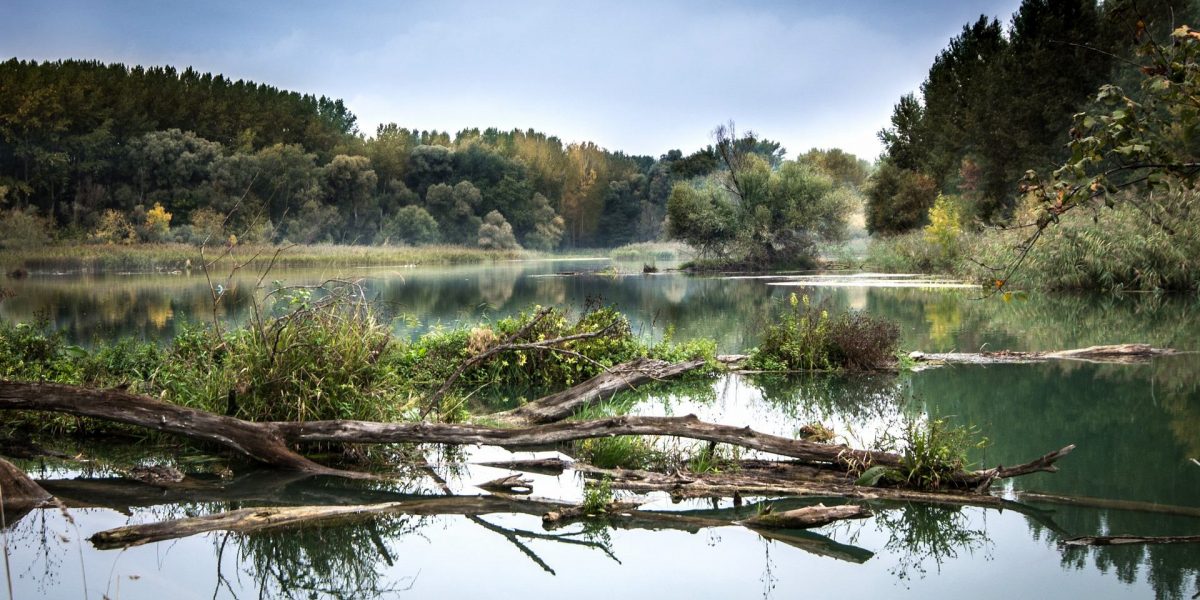 river-977476_1920
